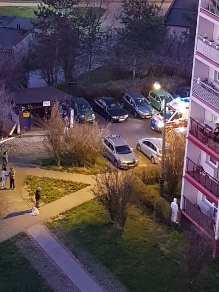 92273274 218228969244669 636475069064806400 n