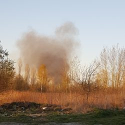 92789087 245701676833326 8098553014366765056 n