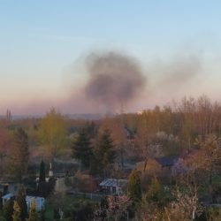 93122377 3011118462279969 9100289234907955200 o