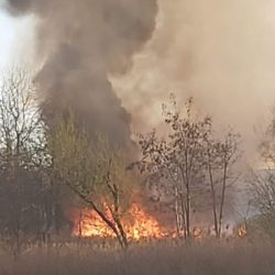 93292148 678253003009701 993446074666450944 o