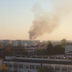 93396226 3233845370005096 4106172091424833536 o