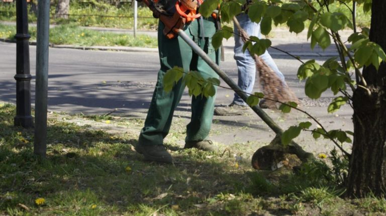 Dwa miliony metrów kwadratowych do koszenia w Gliwicach