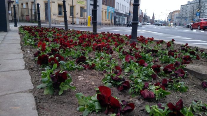 Jana Pawła Górnych Wałów 1 1024x768