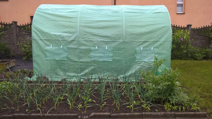 img 20190512 wa0003 1 1200x675 nobckgr