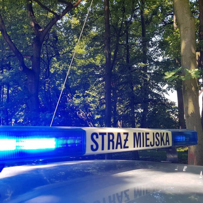 105704968 2868657893232485 9176168989522639306 o