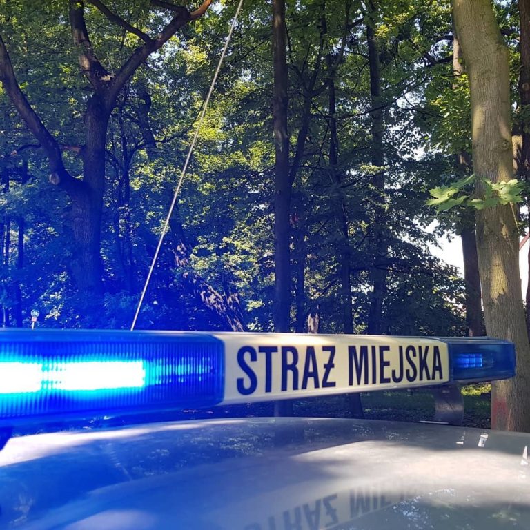 „W trawie leży mężczyzna potrzebujący pomocy”. Telefon 12-latków do straży miejskiej