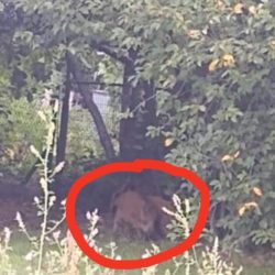 116693445 597417851208570 7988233444767569939 n 1596452591.7521