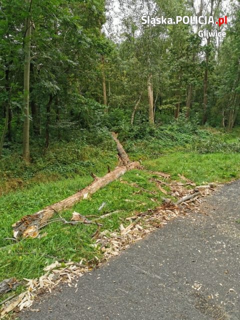 90A87E83 0C56 4C76 A5A2 7C39A0E6294E