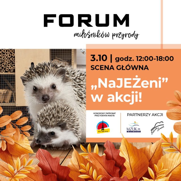 Najeżone CH Forum. Stwórzmy domki dla jeży i schronienia dla owadów