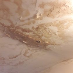 121451036 1050259488740431 6575033468397734602 n scaled