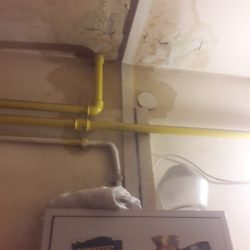 121459500 279730686410855 542889759441822464 n 2 scaled