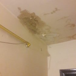 121491849 441147876863777 6680847893164096798 n scaled