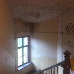 121544447 387691822392204 2673102509158364061 n 2 scaled