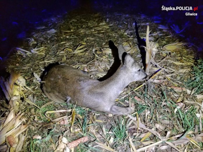 394A6895 E928 44B3 80A9 FED1F9C76B36