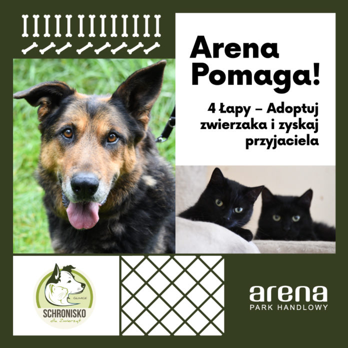 BWP Arena schronisko fb post 960x960 ogolny