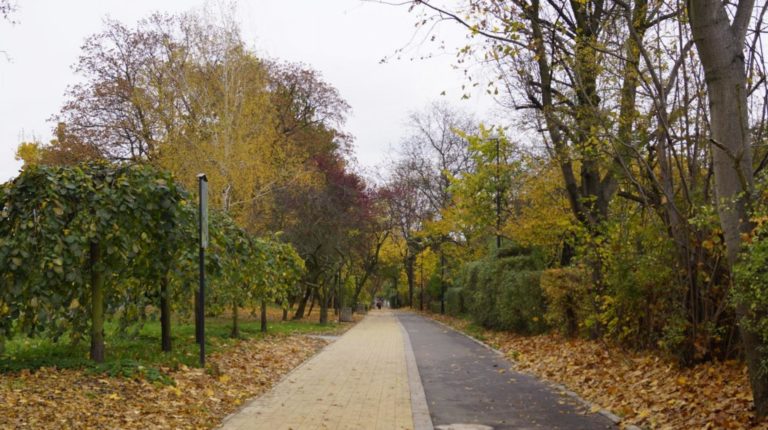 Aleja Sikornik w części gotowa. Jest pięknie