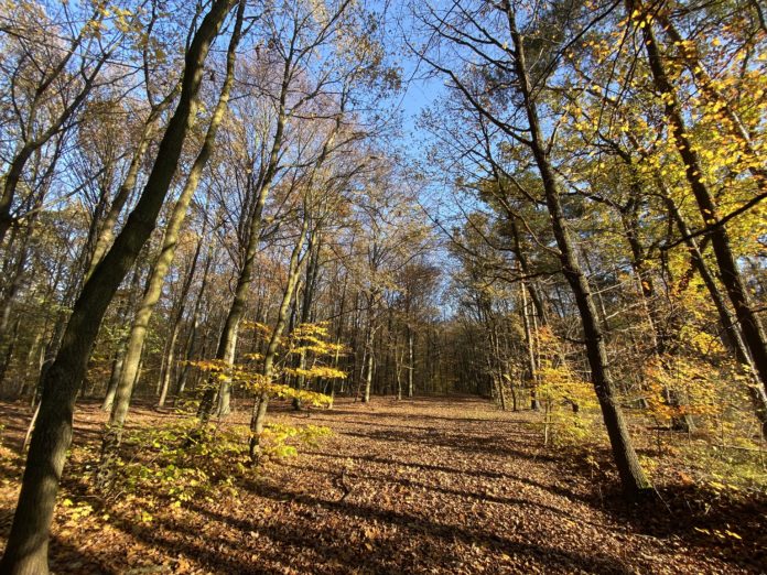 las1 scaled las1 scaled