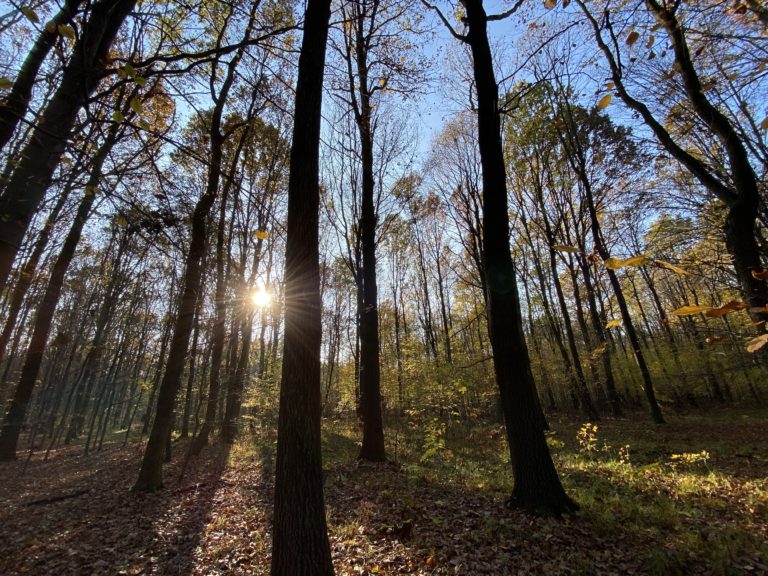 Szukasz pracy? MZUK szuka pracownika