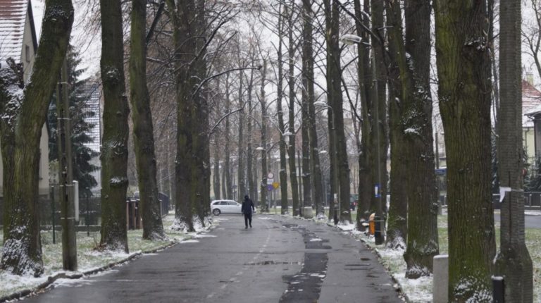 Co z przebudową alei Mickiewicza?