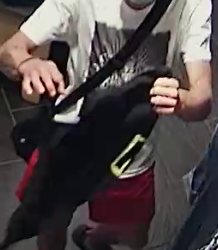 EC75B716 BC07 4BDC B973 CFC16BEDBBDE