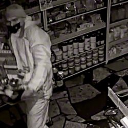 002FAF43 FEBB 4704 9766 F13001785B68