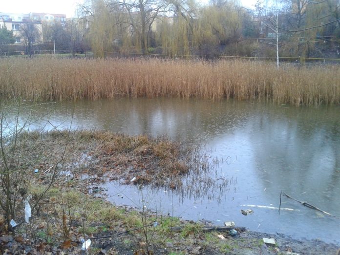 143762665 3025225757710288 6619759640670536139 o