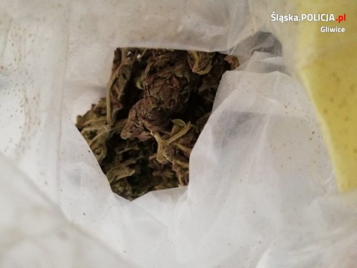 EC0F9496 5C62 47AF AB54 5629C71C33E4 EC0F9496 5C62 47AF AB54 5629C71C33E4