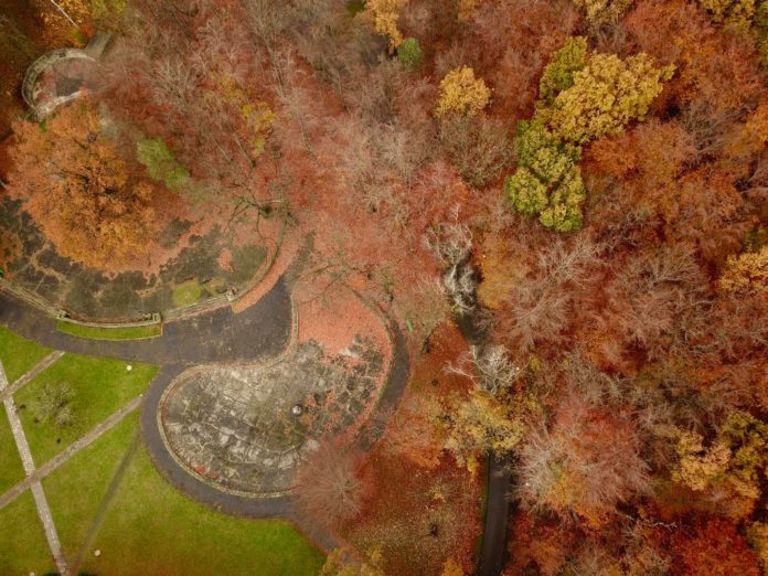 125250302 3794108273962013 3856377852250714606 o