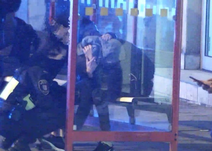 154583197 3528735047224763 1114433442904338034 o