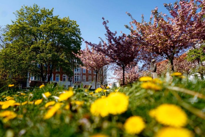 95363001 3224722700900576 7388941824846462976 o