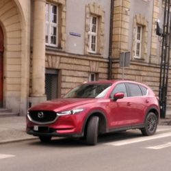 13211 1615618246.8157