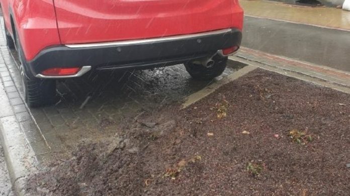 Zabrska samochod 540x768