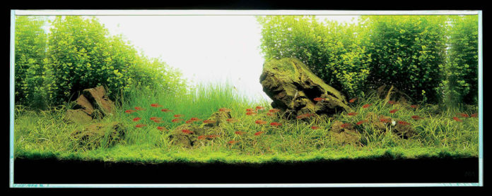 63dcf41b91428cb942b83ba66403b6b2 63dcf41b91428cb942b83ba66403b6b2