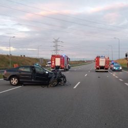 209021546 165245948972645 8404215849929653043 n