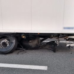 211135529 165245898972650 8452909782956776428 n