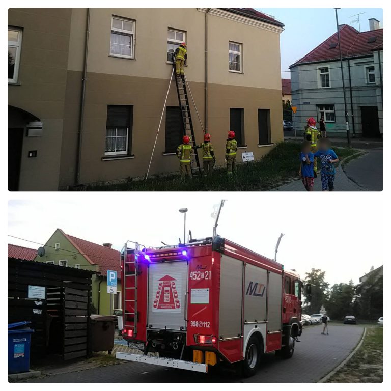 „Zwierzęta są zamknięte i nie mają opieki”. Strażacy i strażnicy sprawdzili