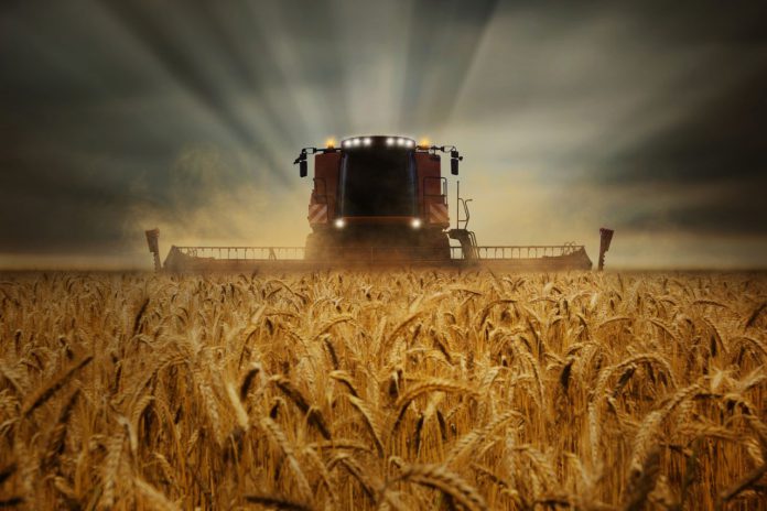 fotolia 196911479 subscription monthly m