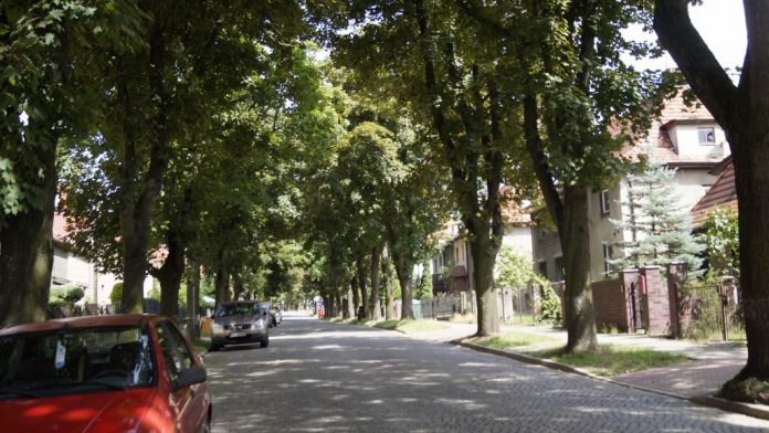 237608261 358091722680630 1222130971374103518 n