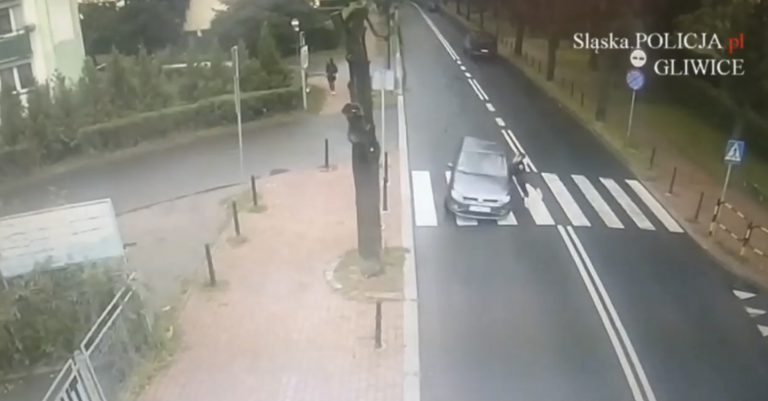 Piesza wtargnęła na jezdnię. Potrącenie na pasach (wideo)