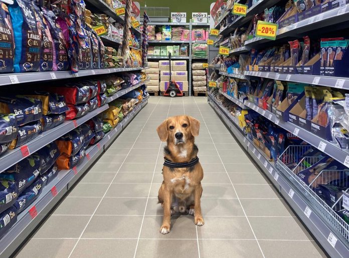 fot Maxi Zoo wnetrze2