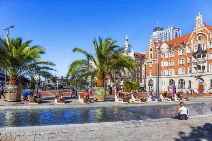 palmy na rynku w katowicach