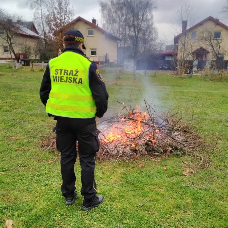 Palił gałęzie, dostał mandat