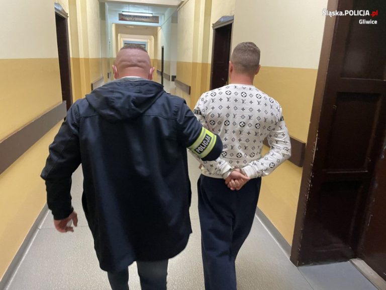 Myślała, że to miłość, wzięła kredyt. Oszust matrymonialny zatrzymany