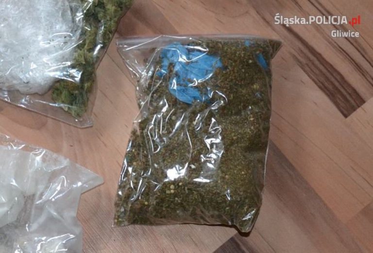 Gliwiccy tajniacy zatrzymali do kontroli hondę. Co znaleźli?