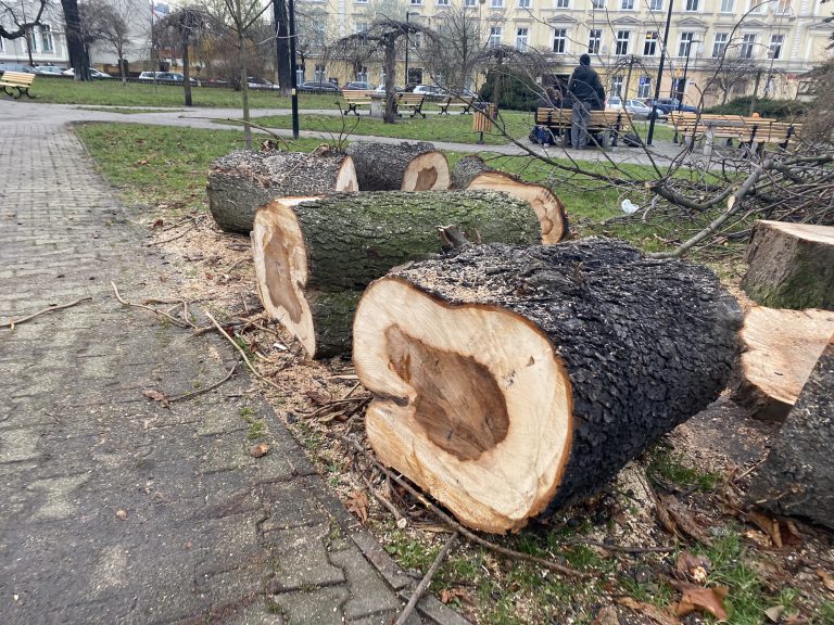 Zarząd Dróg Miejskich blokuje możliwość komentowania. Dlaczego?