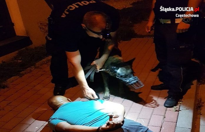 1965D64A 99F8 4C68 83BF 985F49ADCBB5