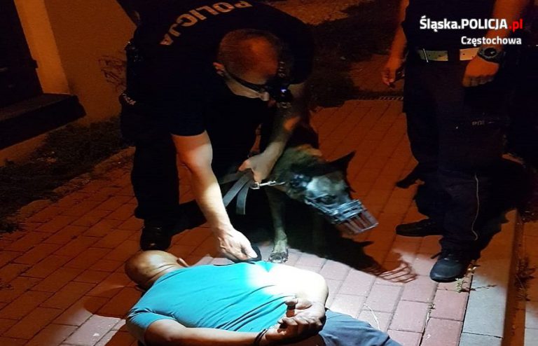 Ta część samochodu bardzo interesuje złodziei. Sporo kradzieży