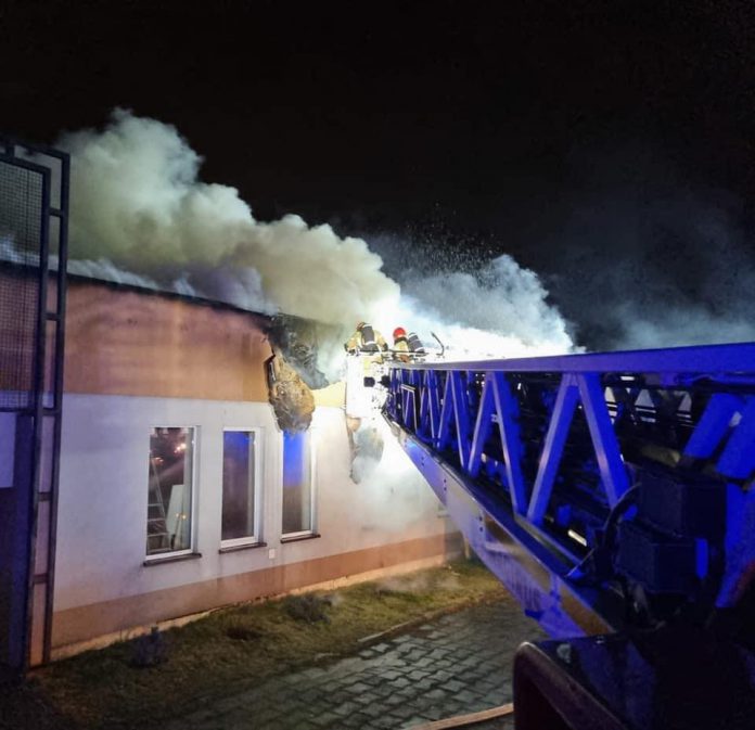 273026473 5174172912622202 2493155438066143983 n