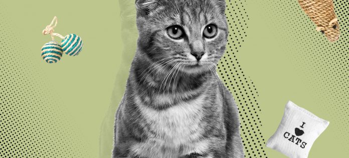 2737F3D8 C4AA 4B17 A124 E40E7F812AD9