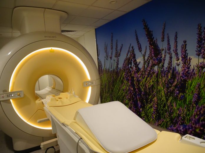 274167296 3236358813260860 3831417502098095557 n